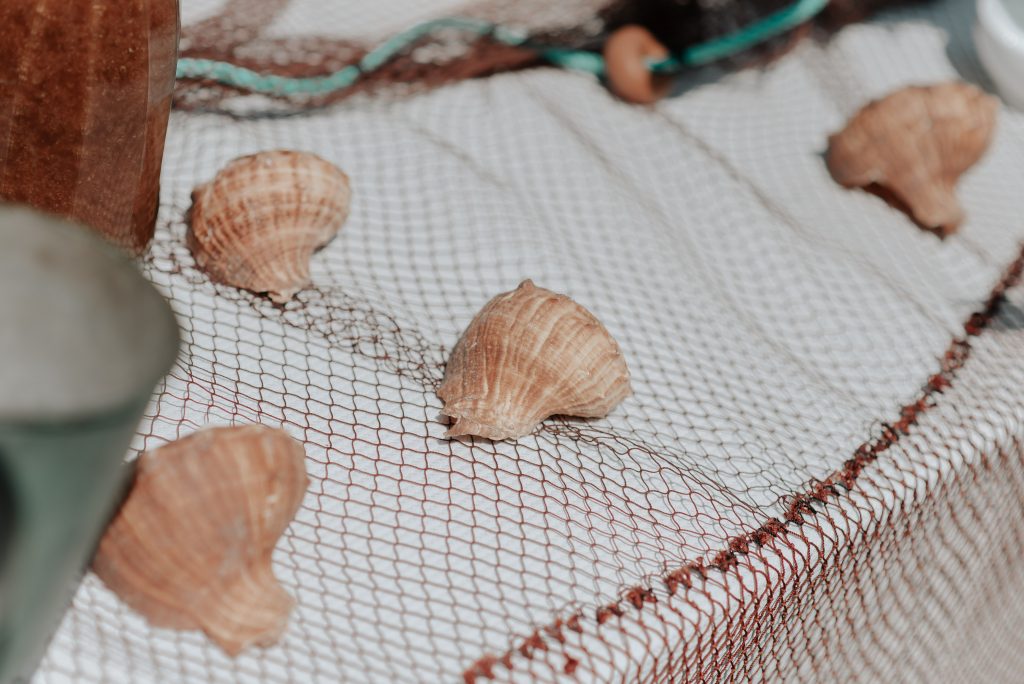 fotos de palacio de moutas